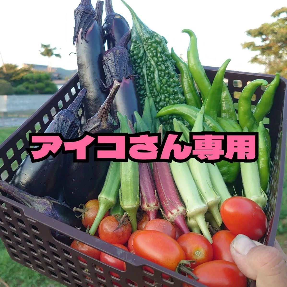 アイコさん専用】野菜セット - 週末農家ゆなれな - メルカリ