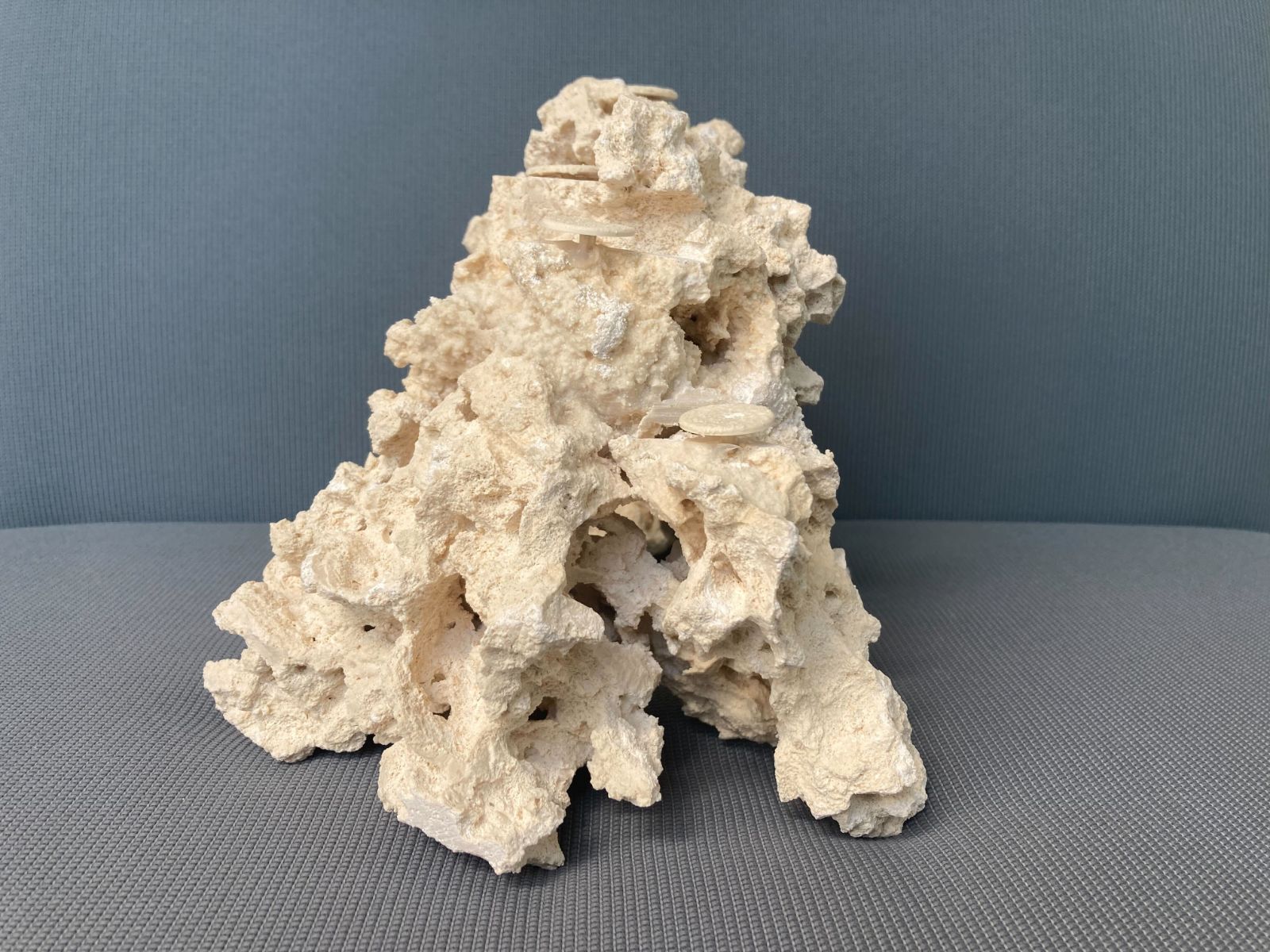 一点物 マルコロック カスタムフラグベース ５４１７８７ 海水水槽用 サンゴ水槽向け レイアウトストーン STEELWINDOWSANDDOORS_COM