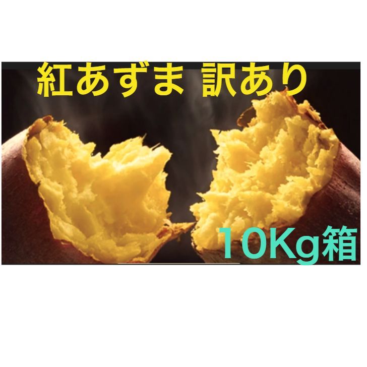 さつまいも 令和5年産 新物 紅あずま10Kg箱 千葉県産 B品~2S~Lサイズ