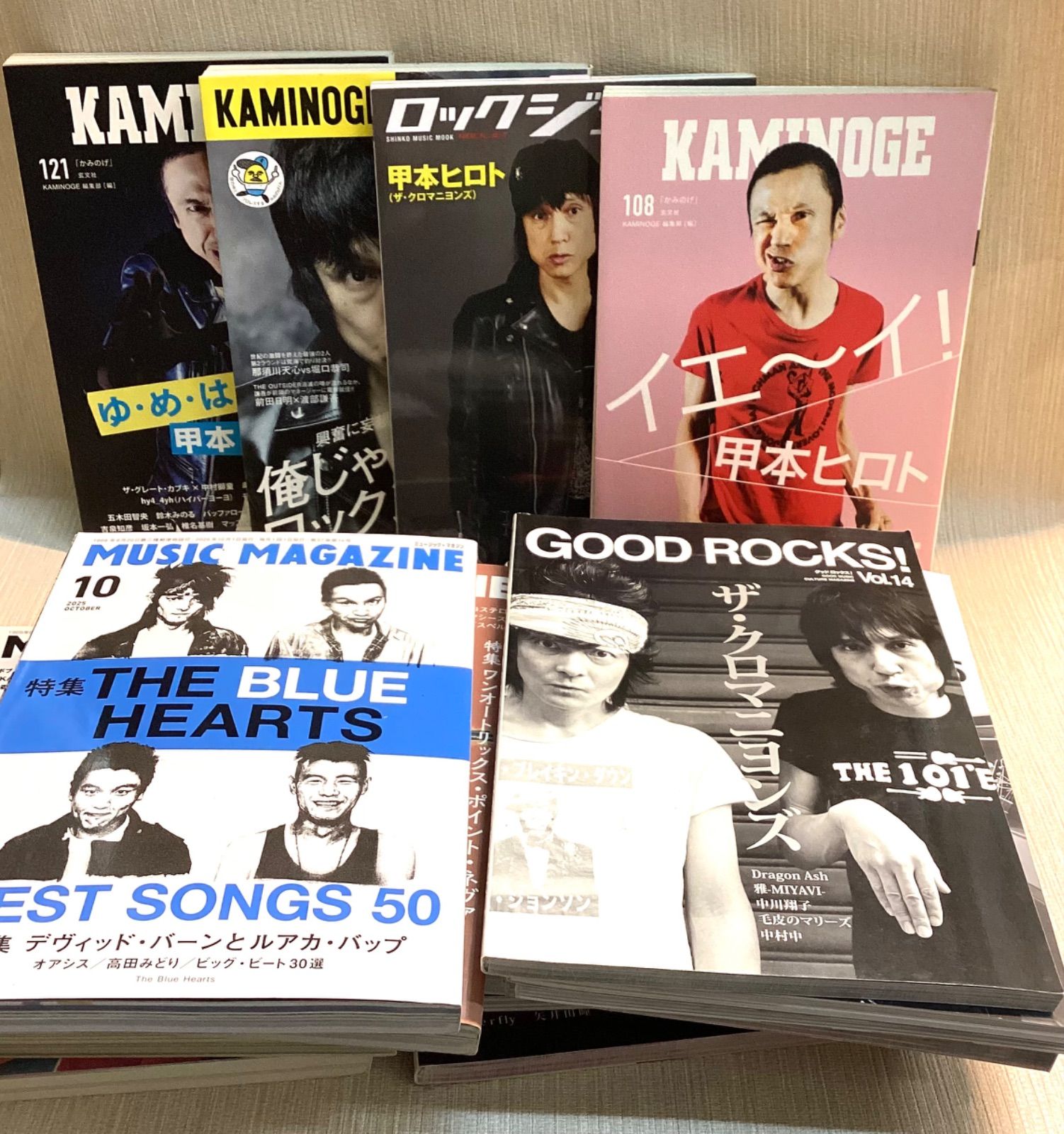 甲本ヒロト ブルーハーツ クロマニヨンズ 特集雑誌22冊セット