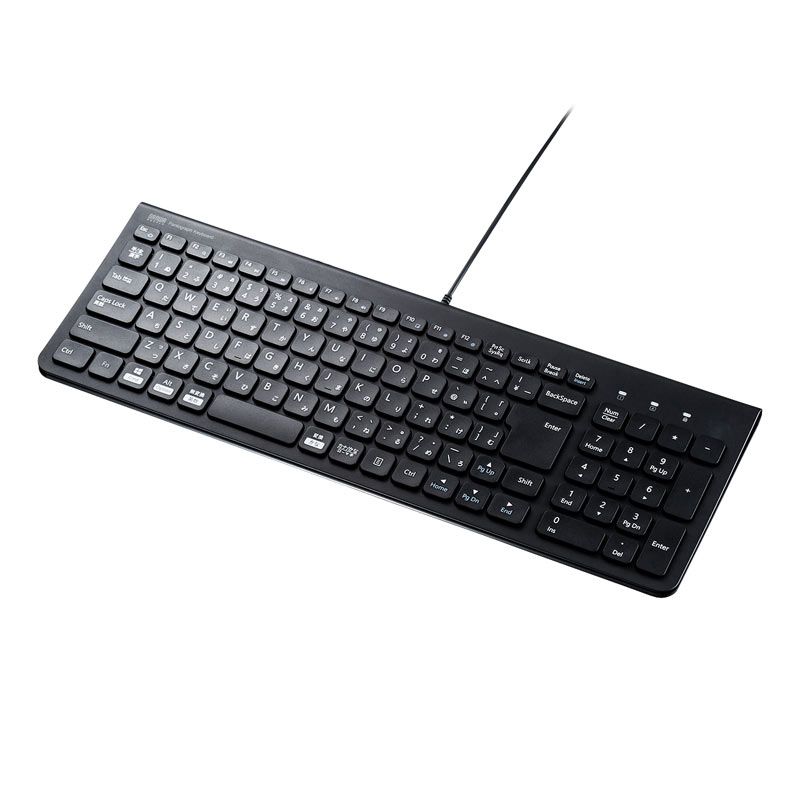定番人気，人気セール サンワサプライ USBスリムキーボード テンキー付き ブラック SKB-SL31BK （1点） キーボード本体