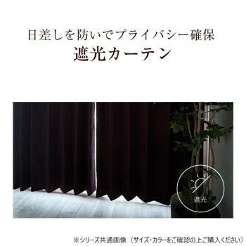 カーテン ジール 2P 100X215 BR 725790000215085 NEXPOTALLINN_EU