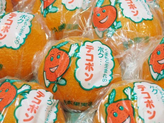 かんきつ類 贈答用