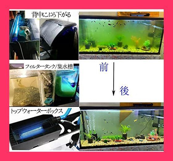 【スタッフおすすめ！】5w 水槽 ライト アクアリウム ライト 水陸両用 IP68防水 緑藻を除去 水質浄化 水槽 フィルター アクアリウム 水族館の水処理 水族館、池、プール、家庭用掃除に適しています