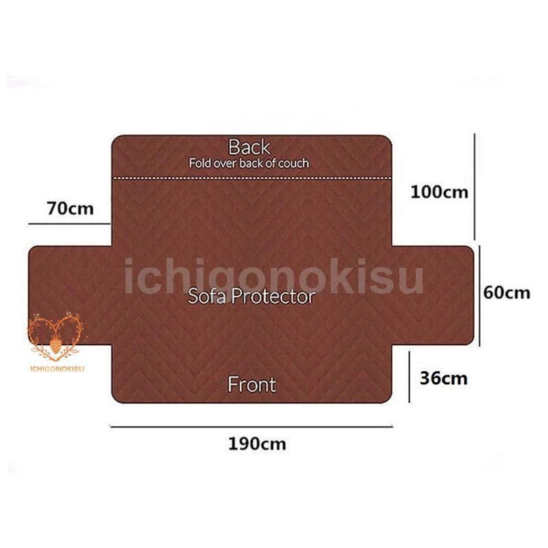 犬と猫の血液学 キソのキソからやさしく解説 犬と猫の血液学 キソの