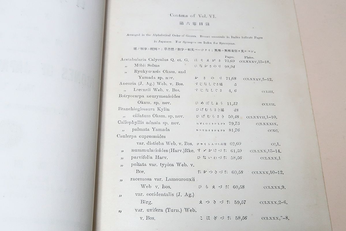 日本藻類図譜・3冊/岡村金太郎・日本藻類学の祖/数多くの新種記載を含んでおり今日でも日本の海藻研究にとり重要な文献である。 &frasl; 日本藻類図譜 日本藻類図譜・3冊&frasl;岡村金太郎・日本藻類学の祖&frasl;数多くの新種記載 - 岡村金太郎 神戸大学ニュース