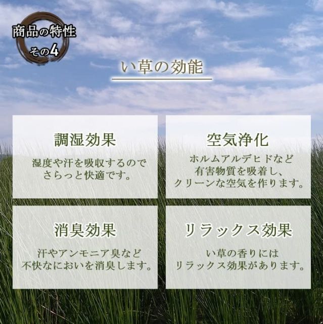 抗菌防臭 約82×82cm