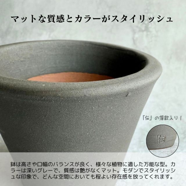 3号 4号