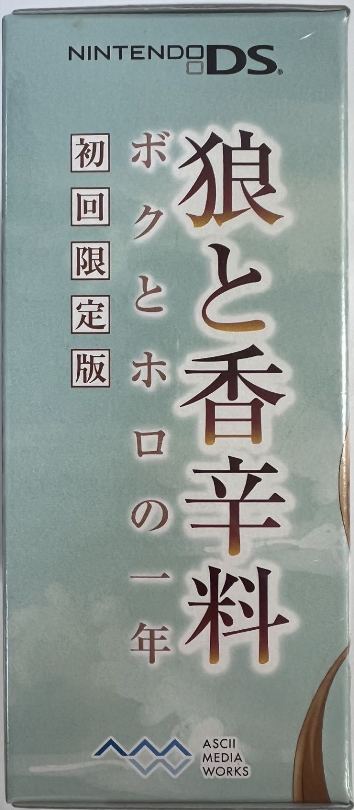 初回 版