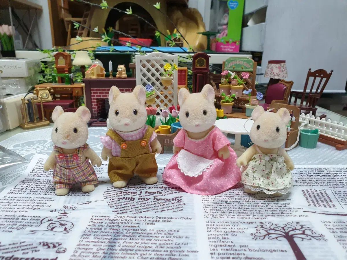 年*可様 DVDまとめ売り　画像はイメージです Amazon.co.jp: 週刊少年マガジン 2025年52号[2025年11月26日発売