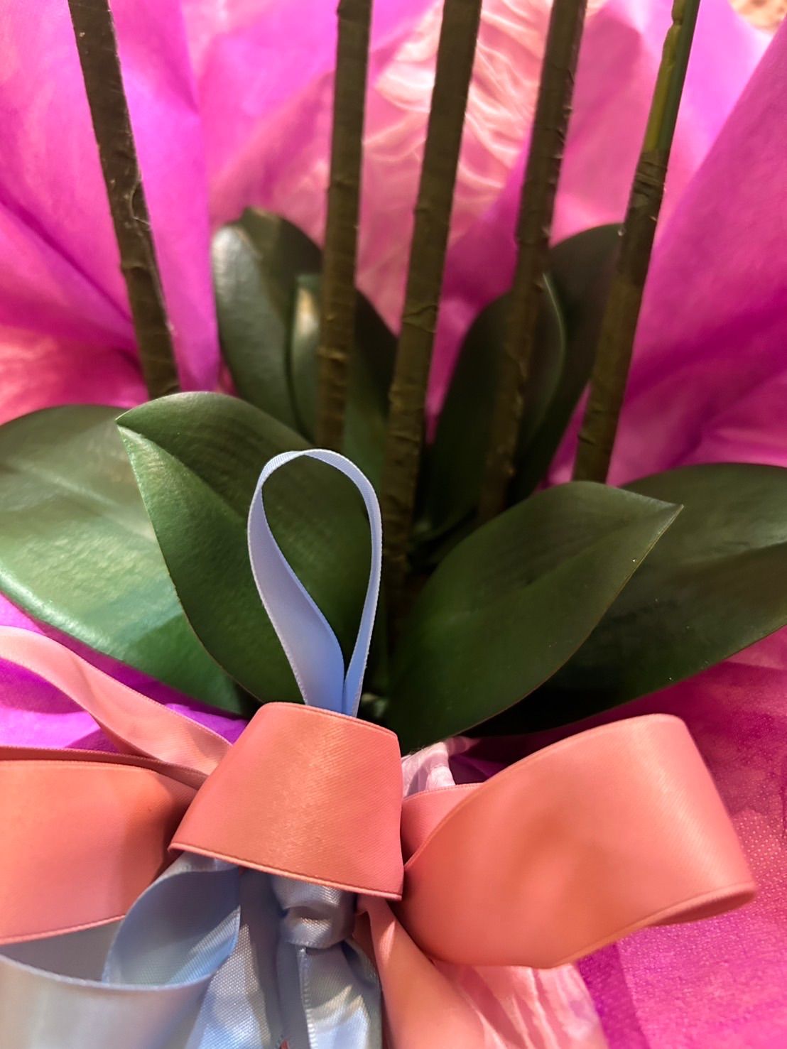 光触媒 人工観葉植物 ウォールグリーン フェイクグリーン 胡蝶蘭8047