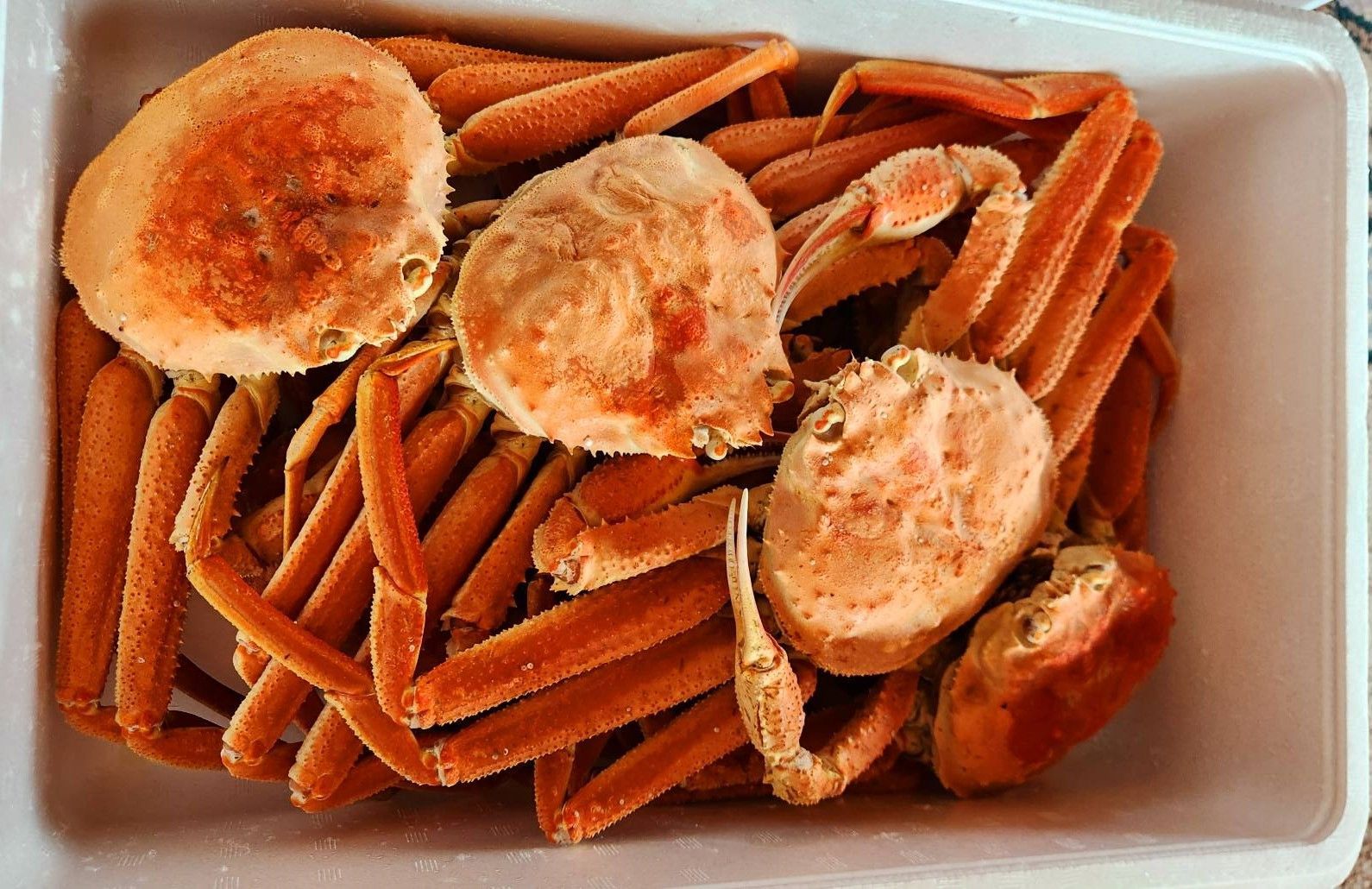 300g】うなぎの骨 うなボーンジャーキー カリカリ ロングタイプ