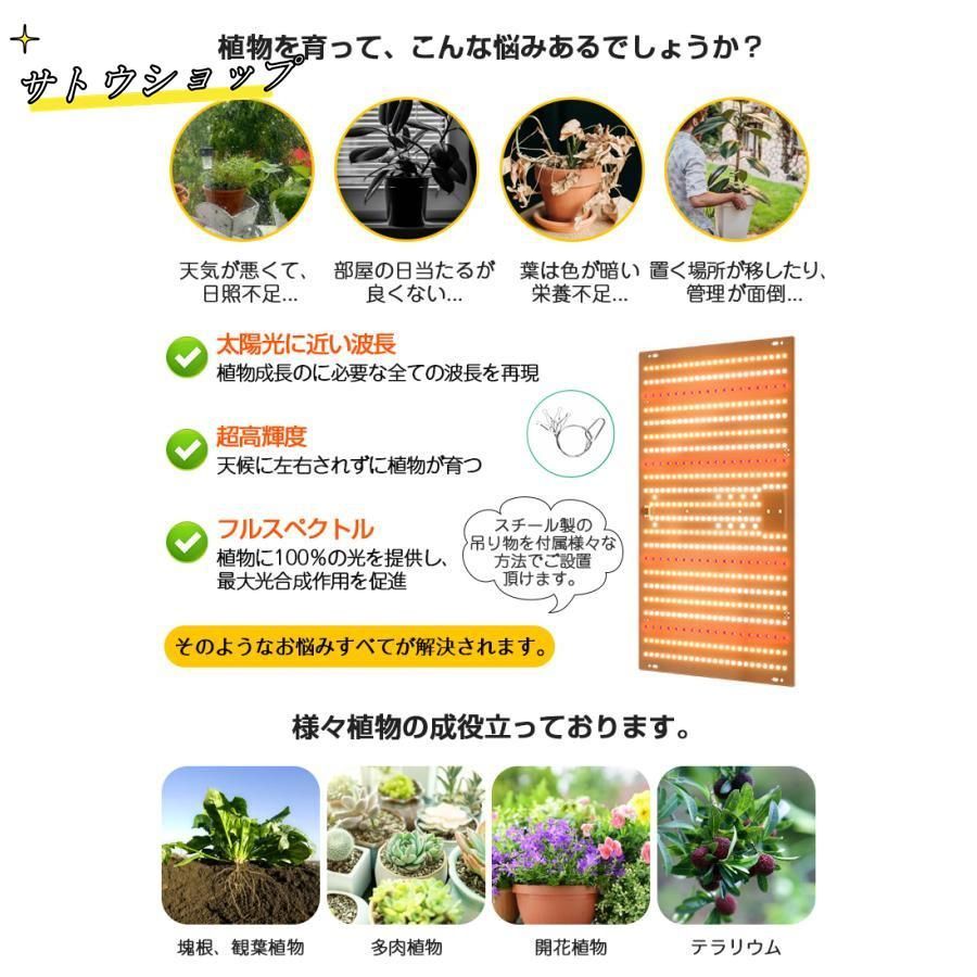 植物