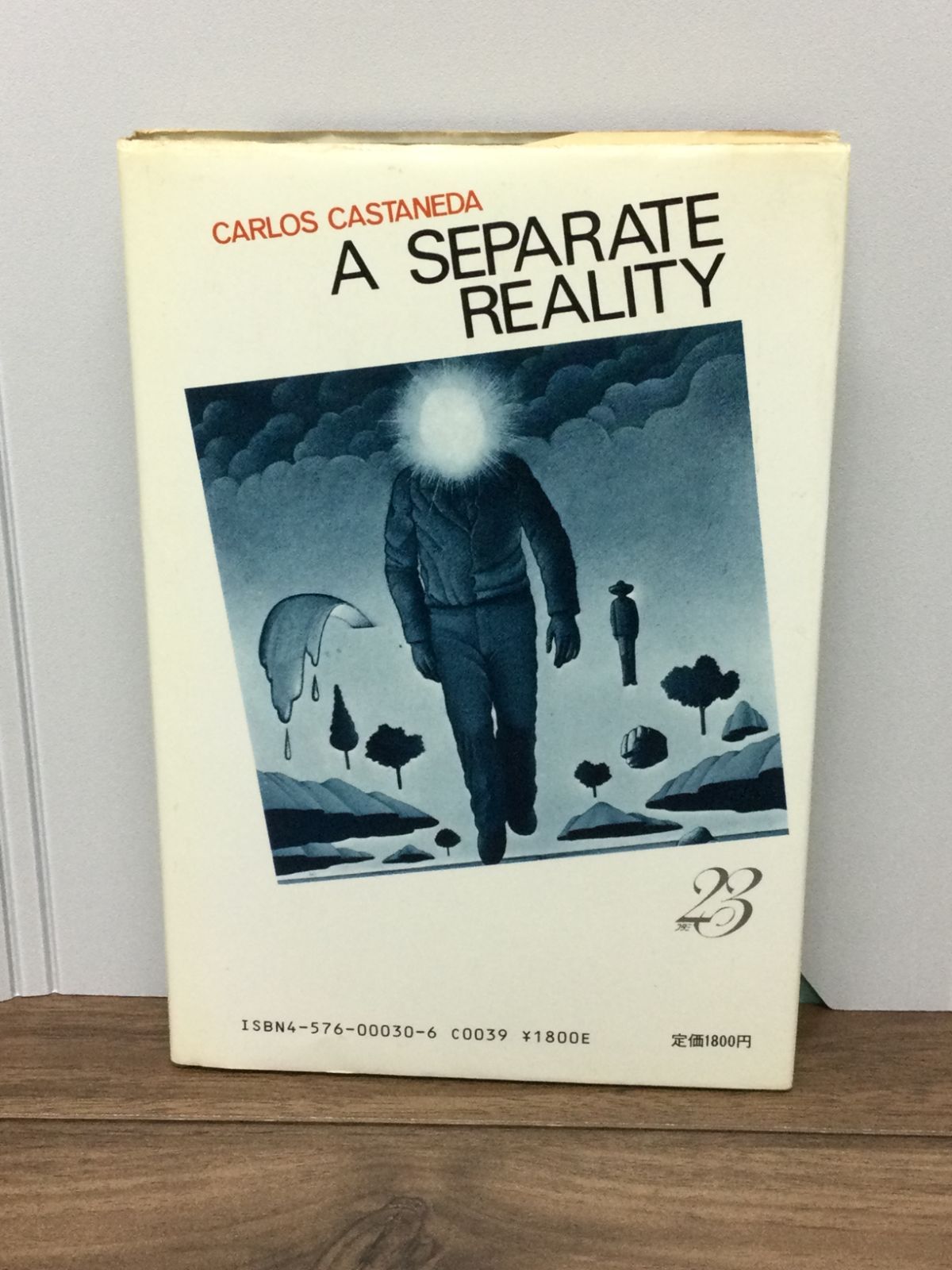 呪術の体験 カルロス・カスタネダ 呪術の体験―分離したリアリティ カルロス・カスタネダ 著, Carlos