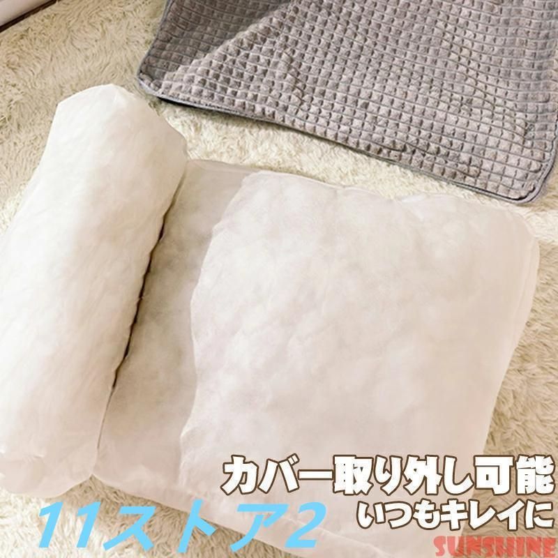 小型犬