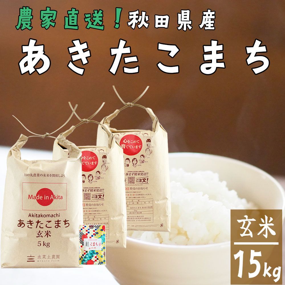 ✨レア✨️ PH-BLACK オリジナルラベル付き ペキヘミアロエ 多肉植物