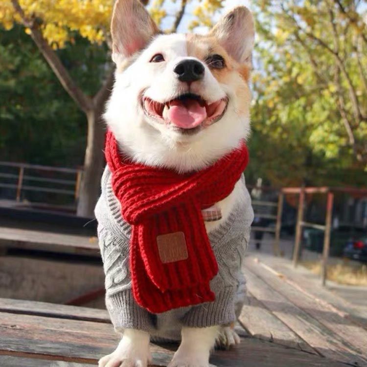 motto_dog 01 / CORDURA モットドッグ + 冬の装いマフラー motto_dog 01 心地好く / CORDURA モットドッグ 冬の装いマフラー