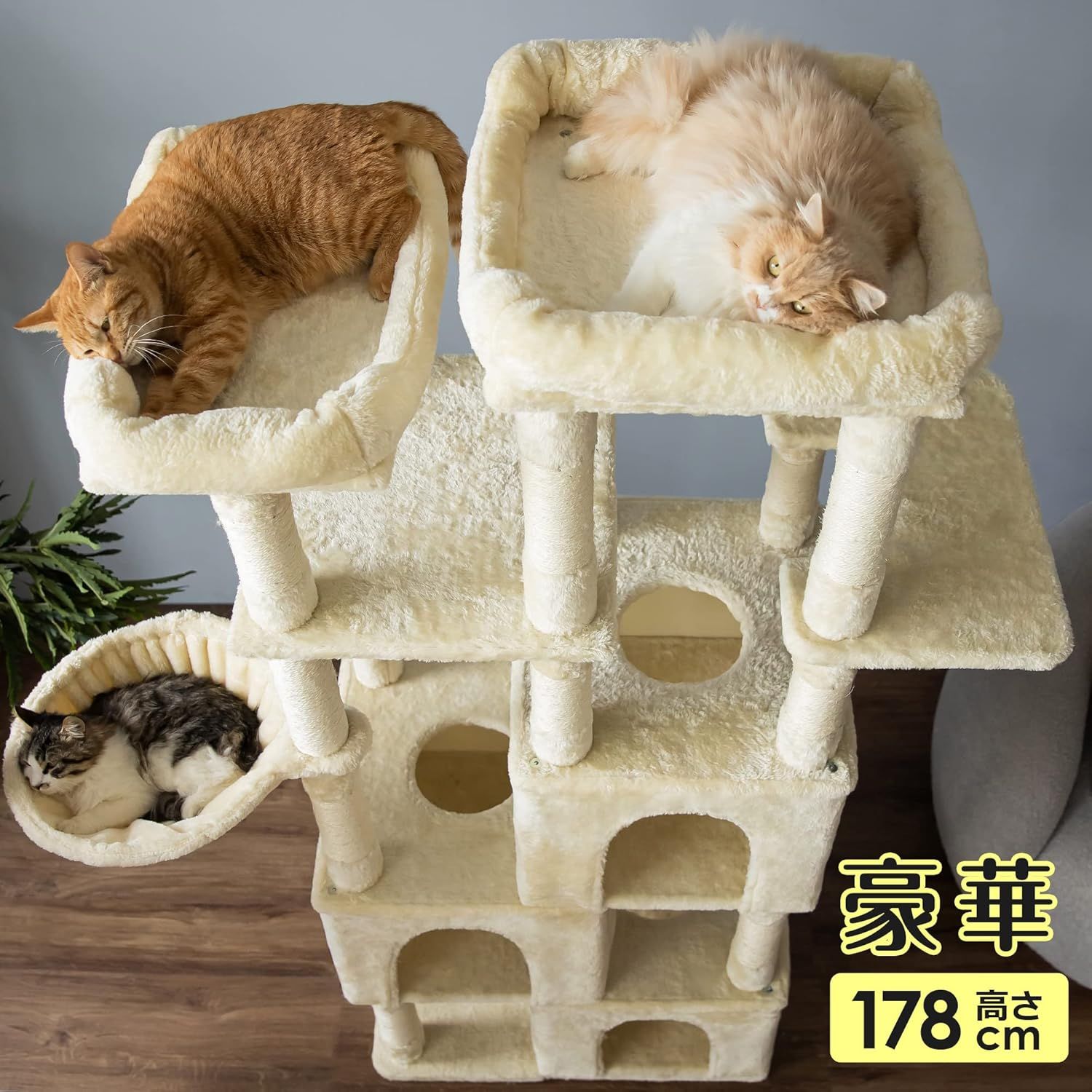 多頭飼い 麻紐
