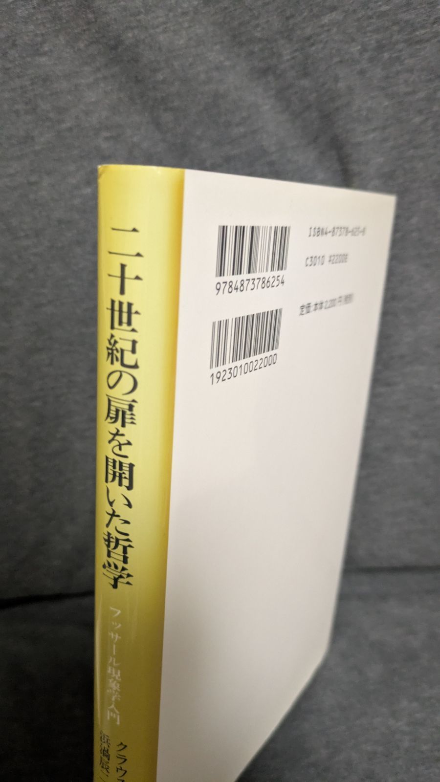 20世紀の扉を開いた哲学: フッサール現象学入門 (クラウス