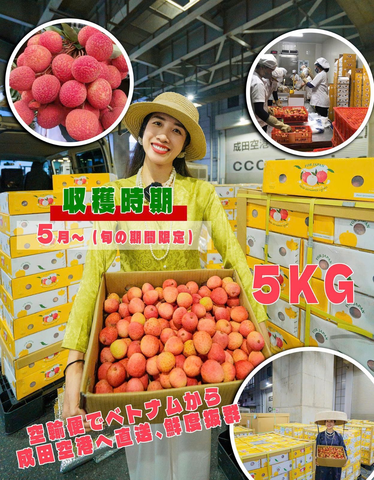 ベトナム生産ライチ 5KG 5月17日-5月20日発送予定 北海道限定】ベトナム産生ライチ 5kg 送料無料 - メルカリ