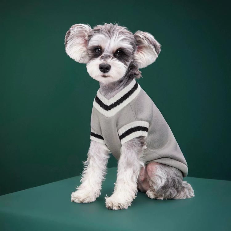 ペット 服 男の子 未使用 レディ 犬 超可愛い♪】ドッグウェア