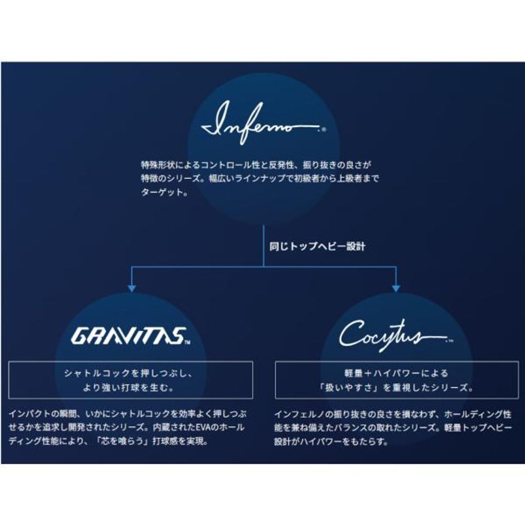 GOSEN コキュートスエッジ COCYTUS EDGE バドミントン BRCYED 4U6