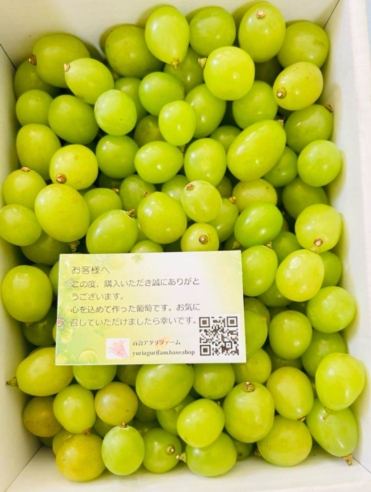 岡山シャインマスカット無農薬粒だけ3kg高糖度完熟家庭用パリッと食感とにかく甘い 岡山シャインマスカット無農薬粒だけ3kg高糖度完熟家庭用パリッ