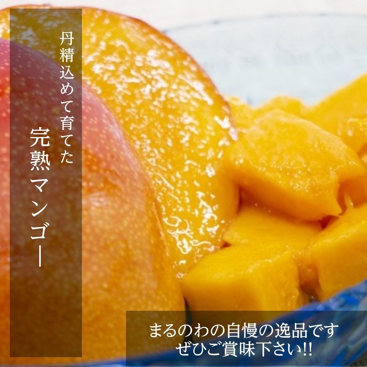 マンゴー