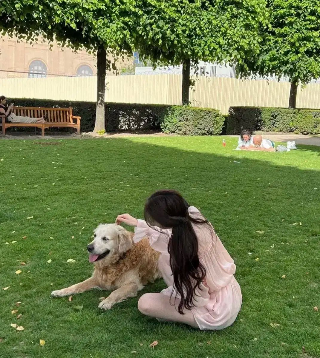  labelle blanc ラベルルブラン マーゴット セットアップ ピンク その他 ビジネススーツ