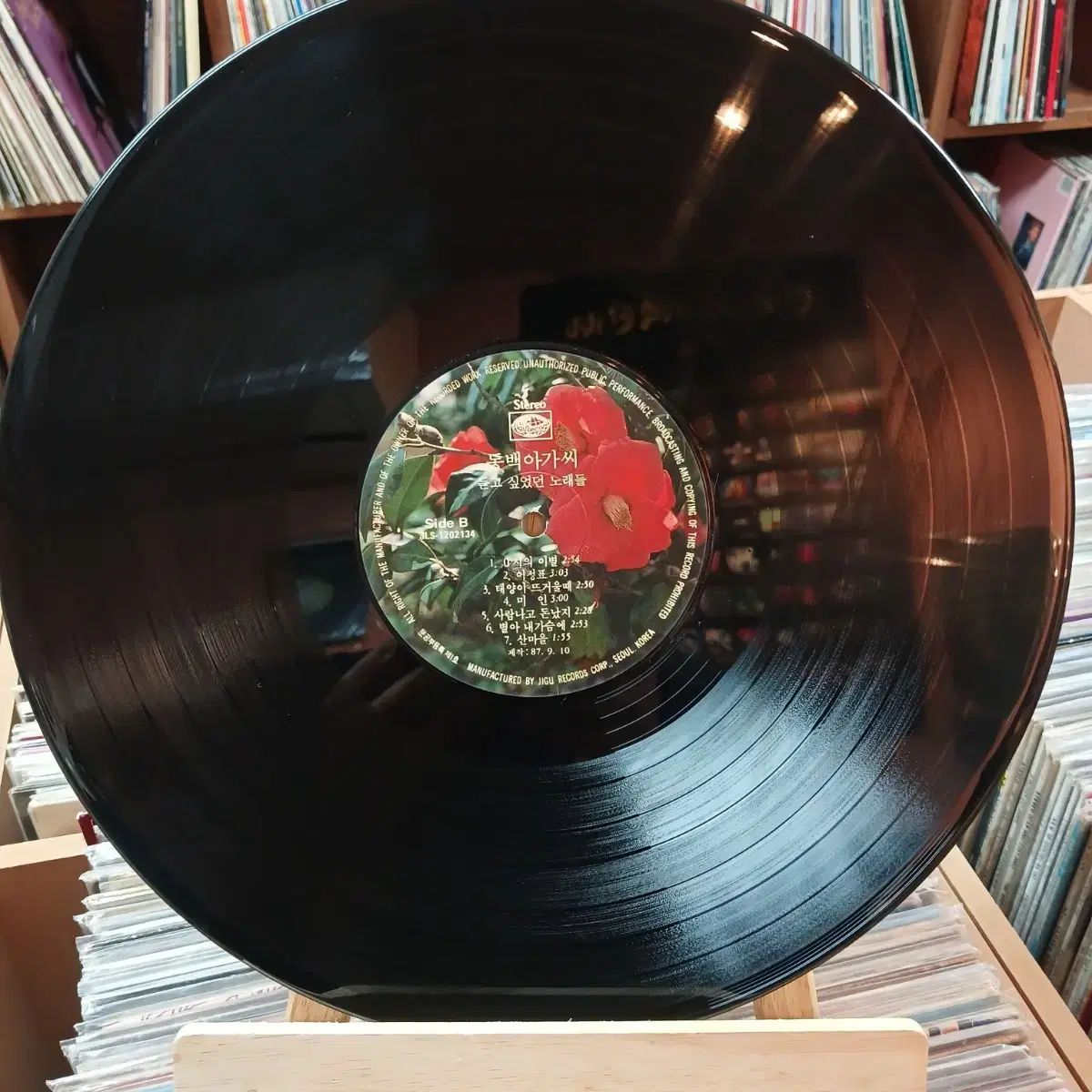 美品　扇ミサト　Lone Pine アイドルイメージDVD Amazon.co.jp: 扇ミサト DVD 「Meister 06／マイスター