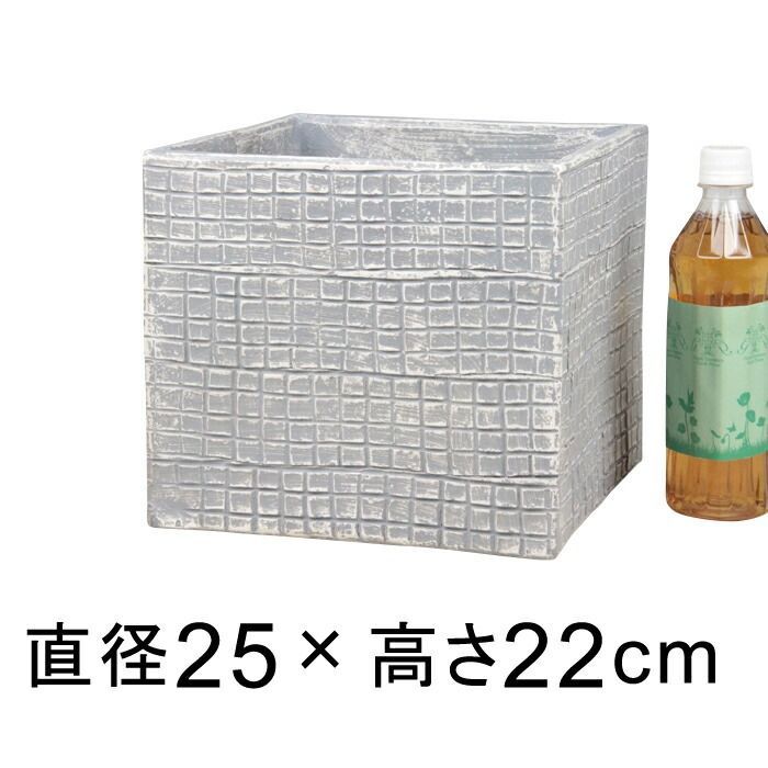 トップ単板、コルト セミジャンボ タイプアコースティックギター