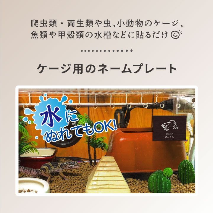 ぽぽ様ご確認用☆ トカゲ 名札 PP ネームプレート 名札