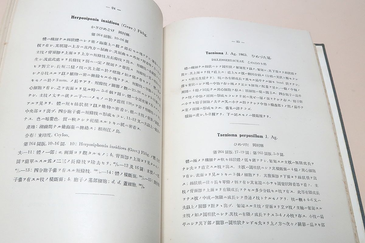 日本藻類図譜・3冊/岡村金太郎・日本藻類学の祖/数多くの新種記載を含んでおり今日でも日本の海藻研究にとり重要な文献である。 &frasl; 日本藻類図譜 日本藻類図譜・3冊&frasl;岡村金太郎・日本藻類学の祖&frasl;数多くの新種記載 - 岡村金太郎 神戸大学ニュース