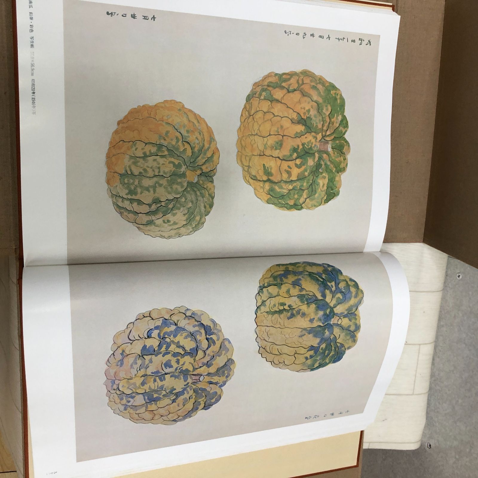 福田平八郎 作品と素描　全二巻揃 光村図書 定価95,000円 　250616- 福田平八郎 作品と素描 全二巻揃 光村図書 定価95,000円 250616