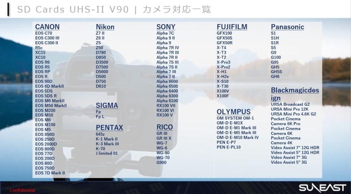 旭東エレクトロニクス SE-SDU2128GA300