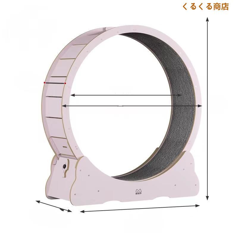 キャット運動 鍛錬