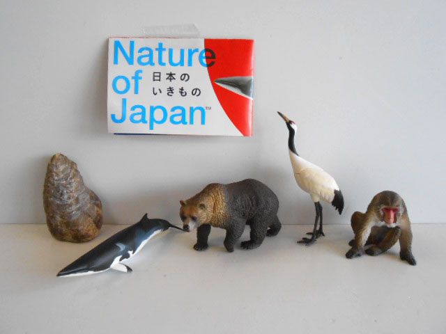 サイン・掲示用品 パネル ネイチャーテクニカラー Nature of Japan 日本のいきもの02 全10種