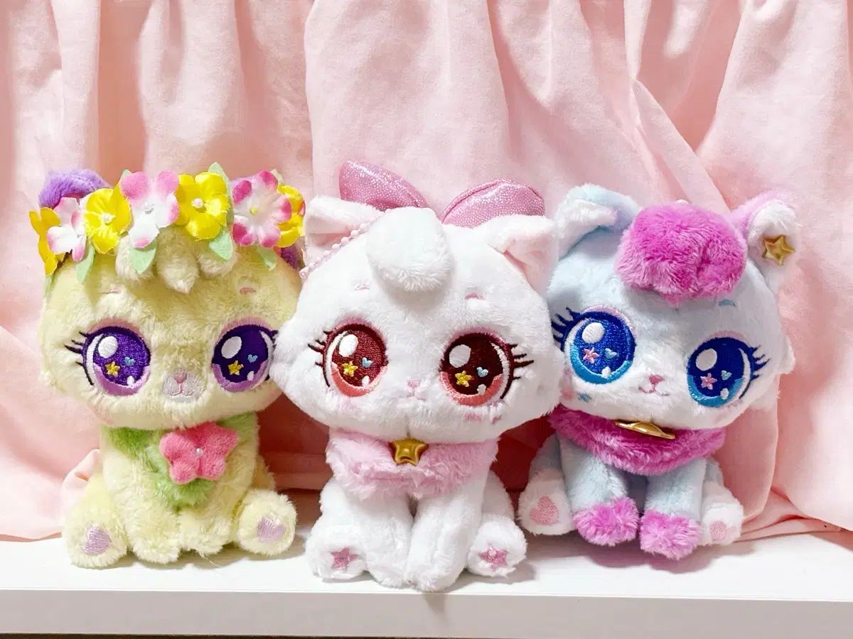 ウィッシュキャット キッド 等 出品