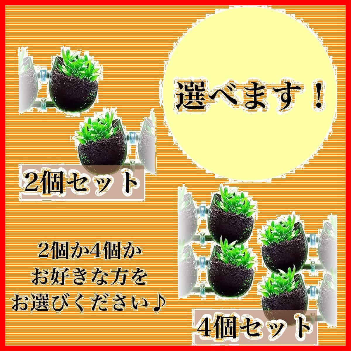 ポット