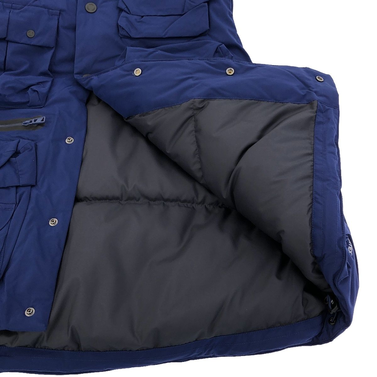 100枚限定】ポケモン コレクタブルアート レックウザ逆鱗