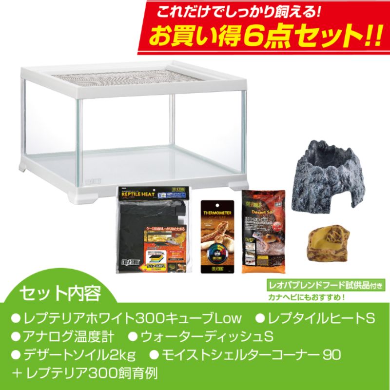 多頭飼い