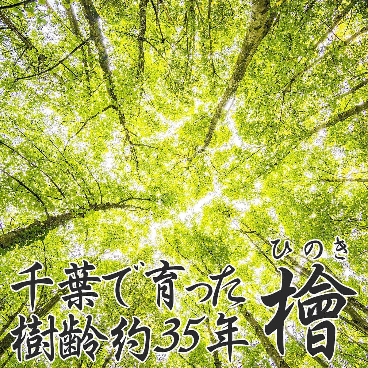 送料無料 】 国産 檜 ヒノキ 薪 丸太 38cm 1本 桧 ひのき 原木 切株 ファイヤー サウナ キャンプ バーベキュー 焚き火 焚火 ソロキャンプ  アウトドア 薪割り 薪ストーブ BBQ 針葉樹 千葉 薪割り台 木材 工作 丸太 自作