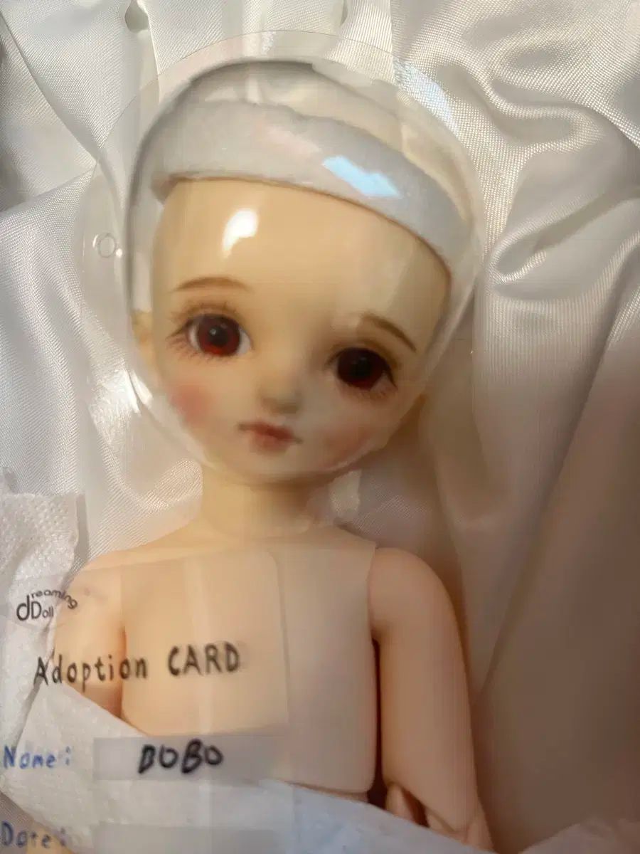 人気 【新品未開封】ロボットガールズZ ダイナマイトアクション