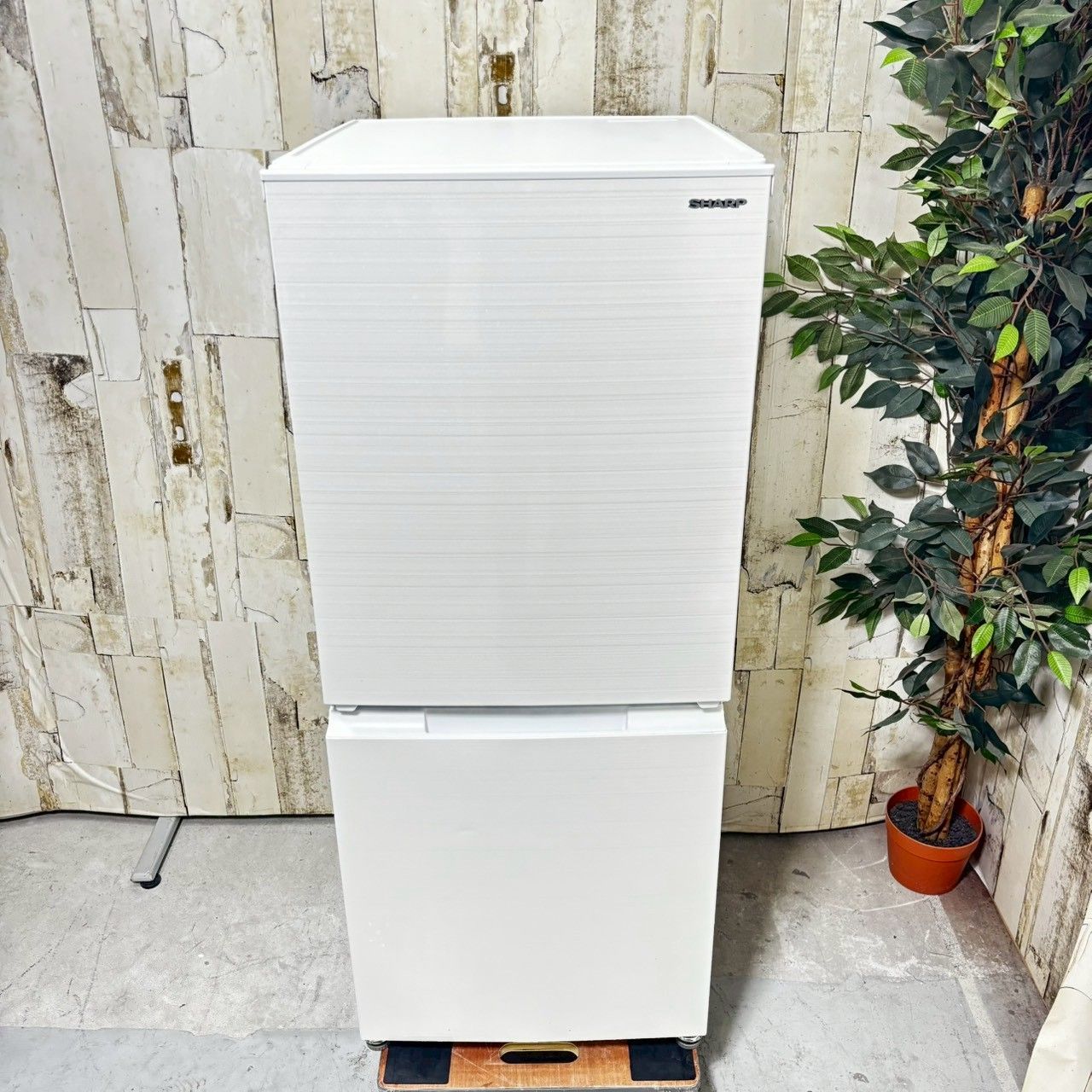 専用【2021年製】 SHARP シャープ SJ-D15G-W ノンフロン冷凍冷蔵庫