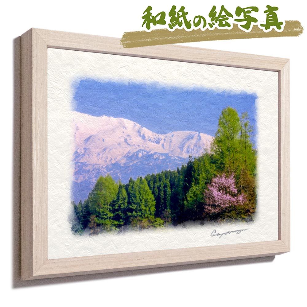 和紙の絵写真 「残雪の北アルプスと新緑のカラマツと山桜」 平面額縁付き 32x23cm 絵画 インテリア 玄関 風水 風景画 アート パネル ポスター おしゃれ 新築祝い 絵 壁掛け 和モダン 和風 ジャパンディ 春 ピンク 山の絵 花の絵