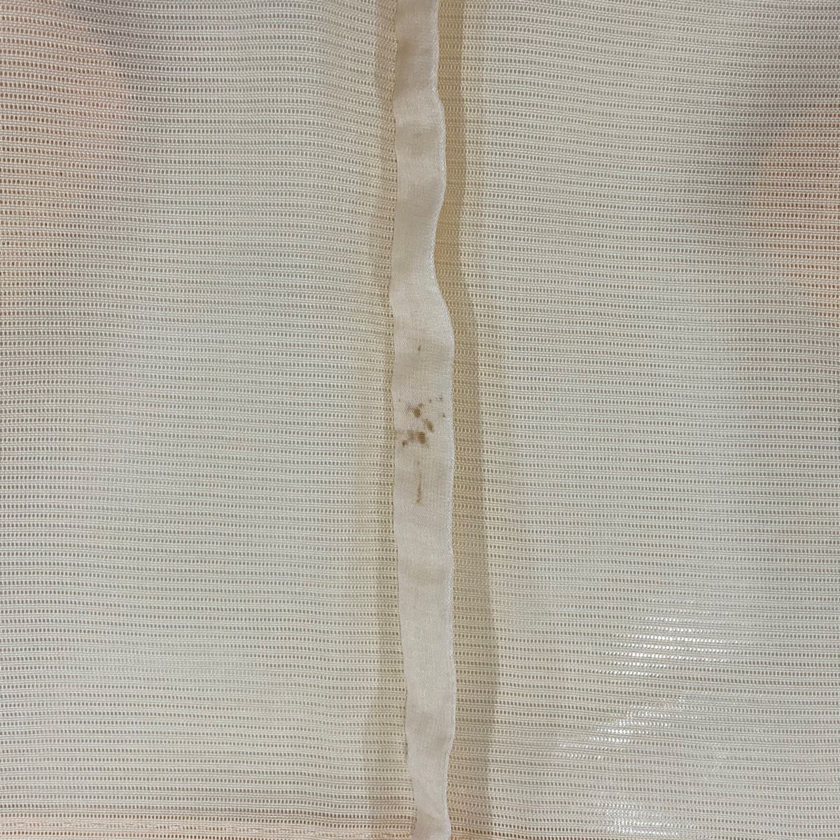 裄丈64.5cm