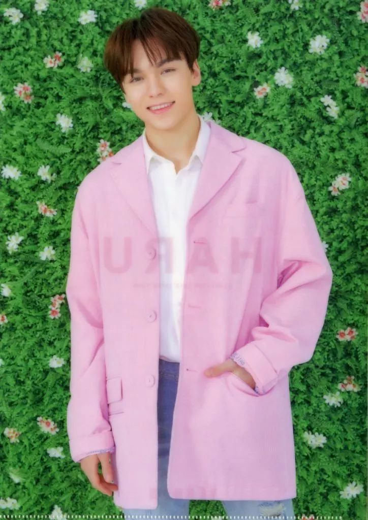 中古】クリアファイル(男性アイドル) バーノン A4クリアファイル