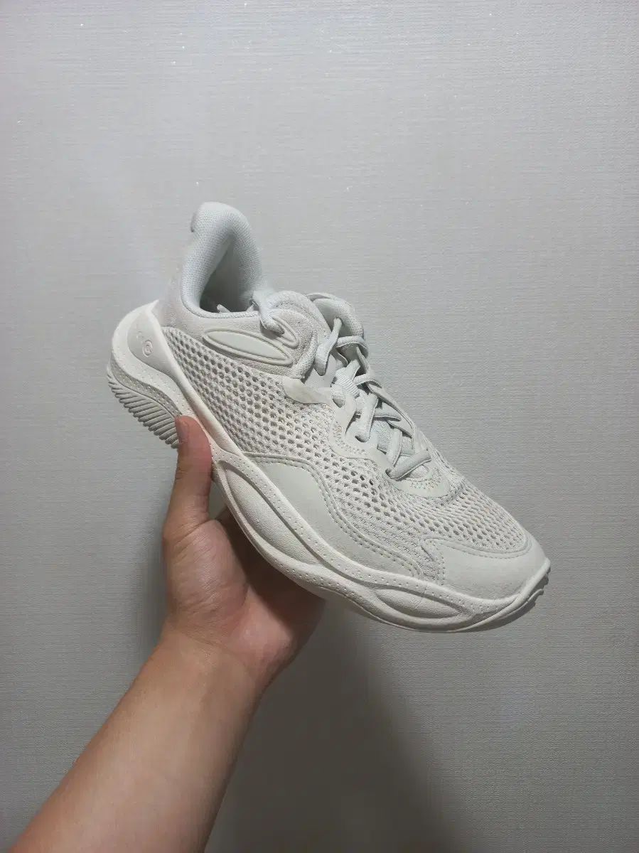 260 UNDER ARMOUR アンダーアーマー カリー スプラッシュ 24 バスケシューズ 農民化 バドミントン