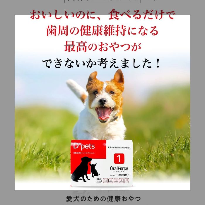 【新品、未使用】  Dpets OralForce1 オーラルフォースワン　4個 Dpets OralForce1オーラルフォースワン 2箱セット その他犬用品