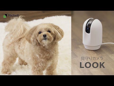 リッチェル 見守りカメラ LOOK STEELWINDOWSANDDOORS_COM